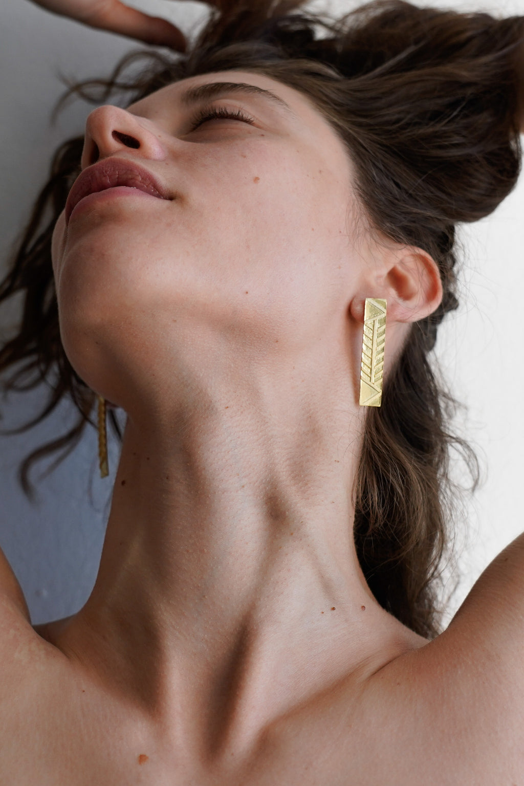 UP AND DOWN EARRINGS