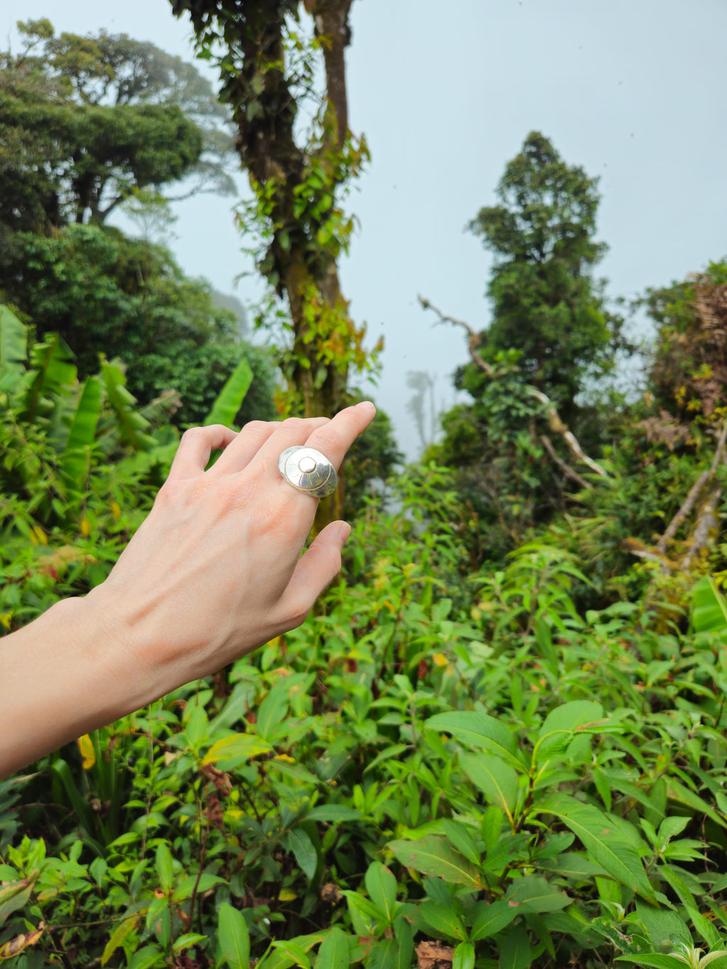 DOME EYE RING