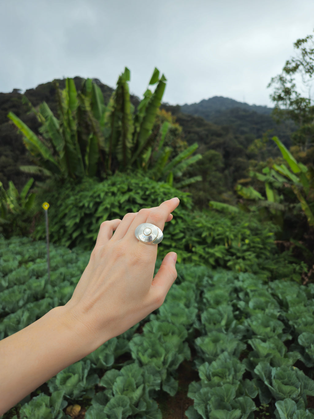 DOME EYE RING